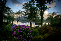 2012 Ireland-Scotland