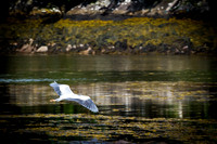 _DSC6059