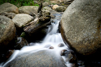 _DSC5477