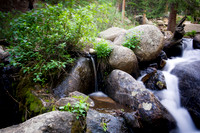 _DSC5481