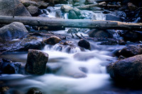_DSC5483