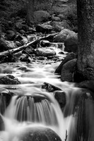 _DSC6241-Edit