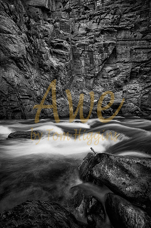 _DSC6384-Edit