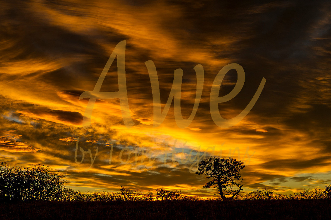 "Thomas P Higgins" Capturedawe Captured Awe Sunrise "Daniels Park"