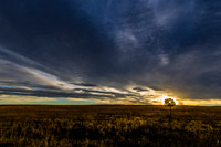 _DSC6732