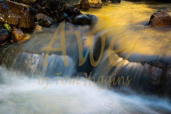 _DSC6369-Edit-2