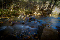 _DSC6353
