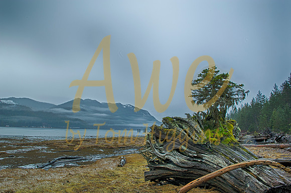_DSC7102_HDR