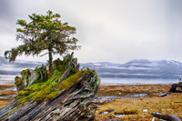 _DSC7105_HDR