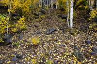 MaroonBells-0257