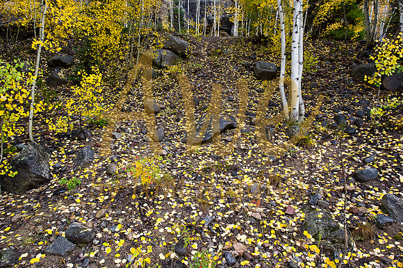 MaroonBells-0257