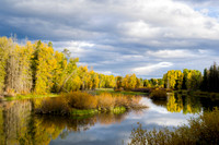 _DSC8512