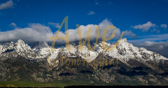 _DSC8917-Edit
