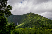 _DSC9605