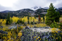 _DSC8466-Edit
