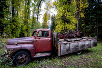 _DSC8372