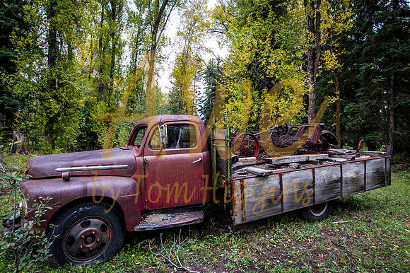 _DSC8372