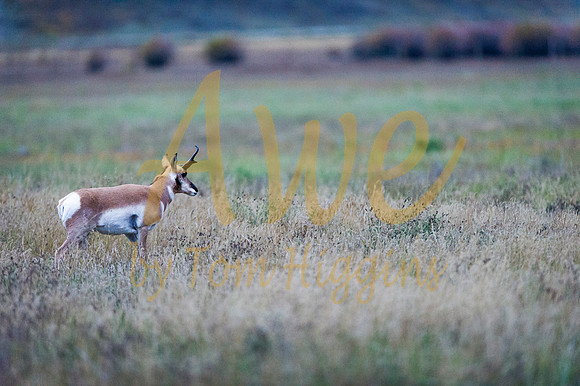 _DSC8760