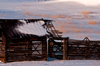 20100321-Chatfield-9413
