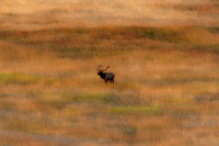 20090920-TPH_6438
