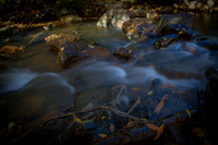 _DSC6354