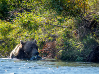 _DSC0367