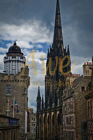 DSC_3336-Edit