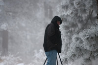 20100220-Evergreen-8607