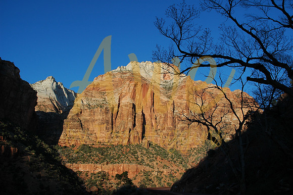Zions National Park