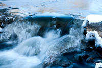 20100321-Evergreen-9427