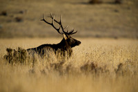 RockyMtnNtnlPark-0534
