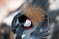 20090919-DenverZoo-6339