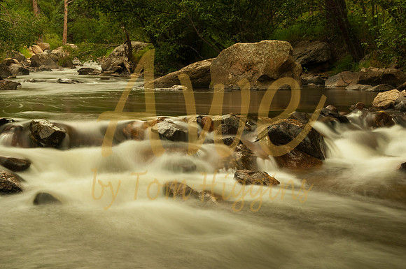 20090830-TPH_6176