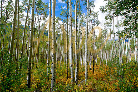 MaroonBells-0220