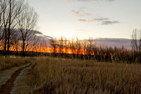 20101113-Chatfield-2