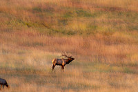 20090920-TPH_6442