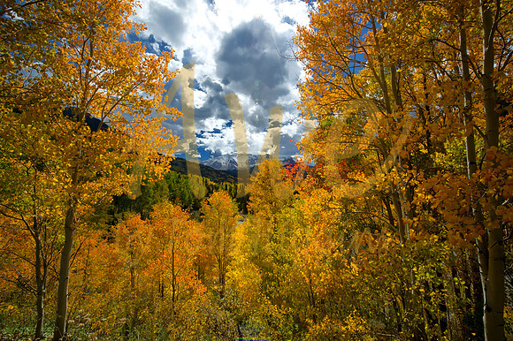 _DSC4626-Edit