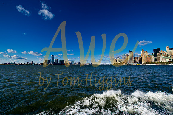 NewYork-1115