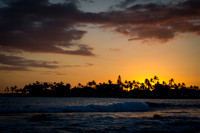 _DSC0097