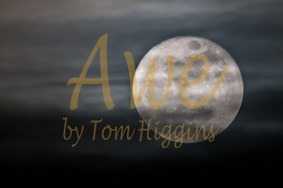 20100330-Moon-9527