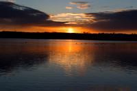 20101113-Chatfield-3