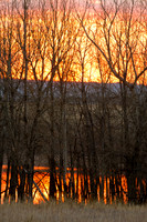 20101113-Chatfield