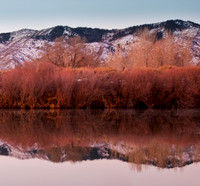 20100306-Chatfield-8819