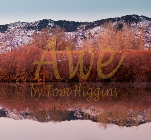 20100306-Chatfield-8819