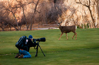 20101124-Tetons-2