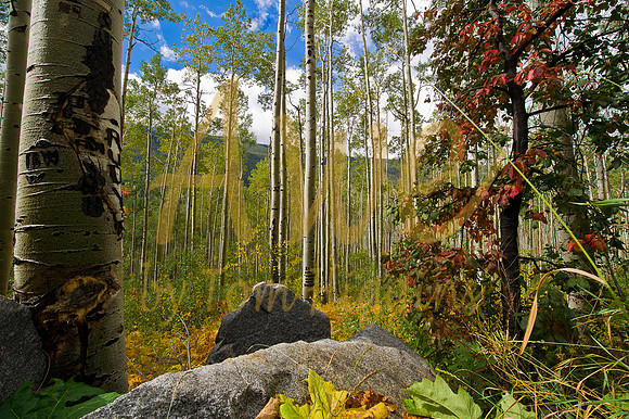 MaroonBells-0229