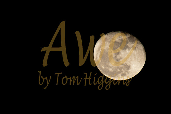 20100331-Moon-9543