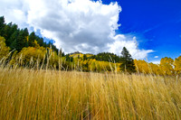 _DSC4653-Edit