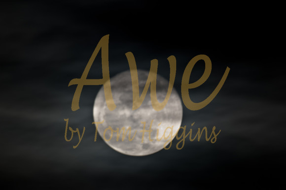 20100330-Moon-9517
