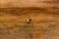 20090920-TPH_6441